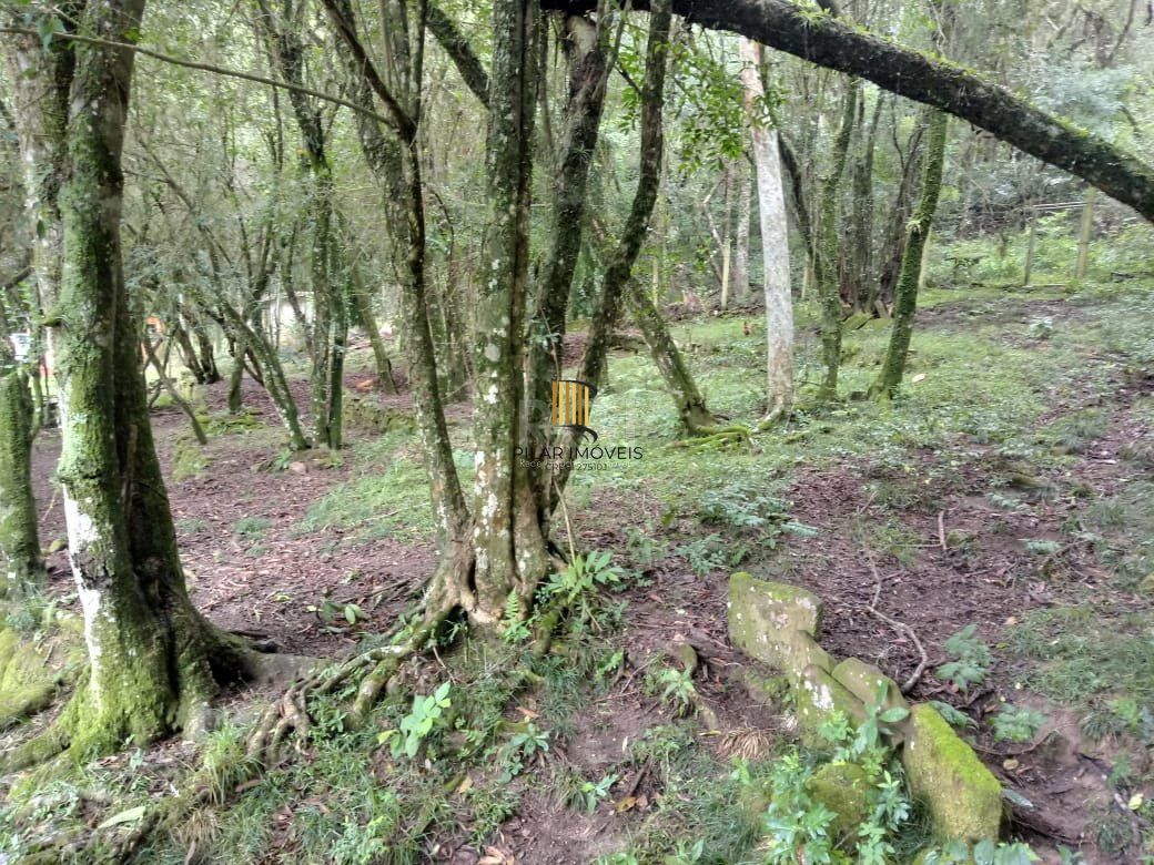 Sítio para Venda - 13725m², 2 dormitórios, sendo 2 suites, 4 vagas - Ponta Grossa