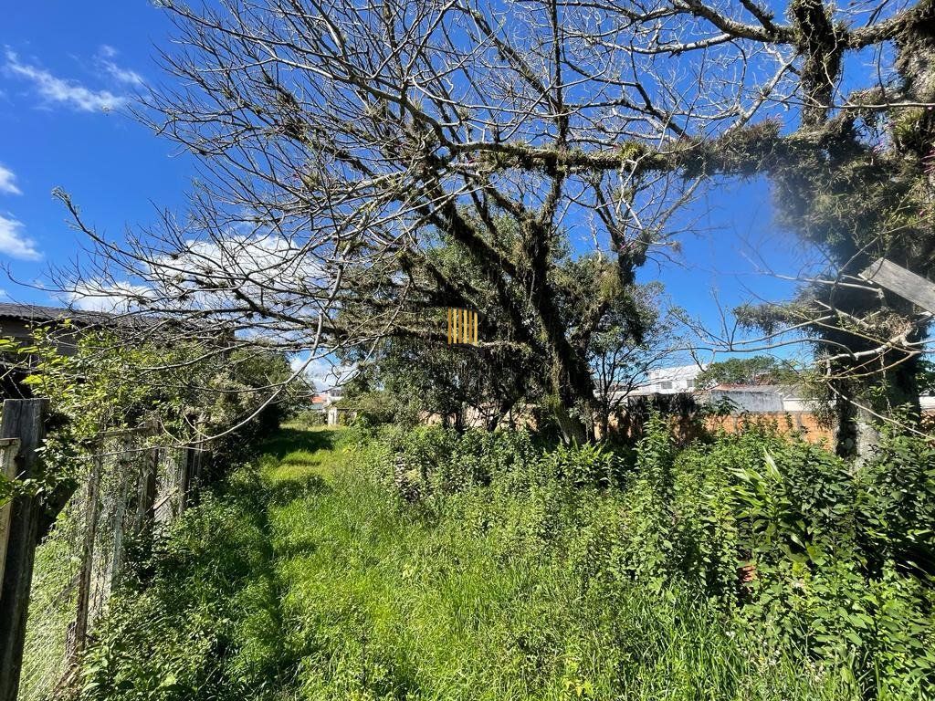 Terreno no bairro Ipanema