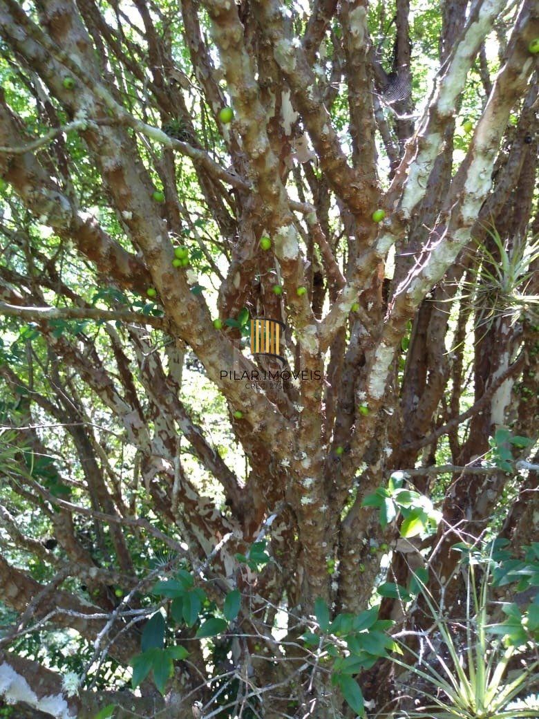Sítio para Venda - 240m², 4 dormitórios, Itapuã
