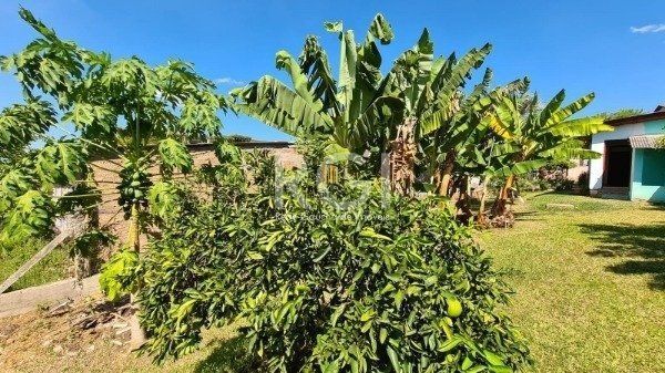 Terreno com 10,00 X 61,60 - Bairro Tristeza