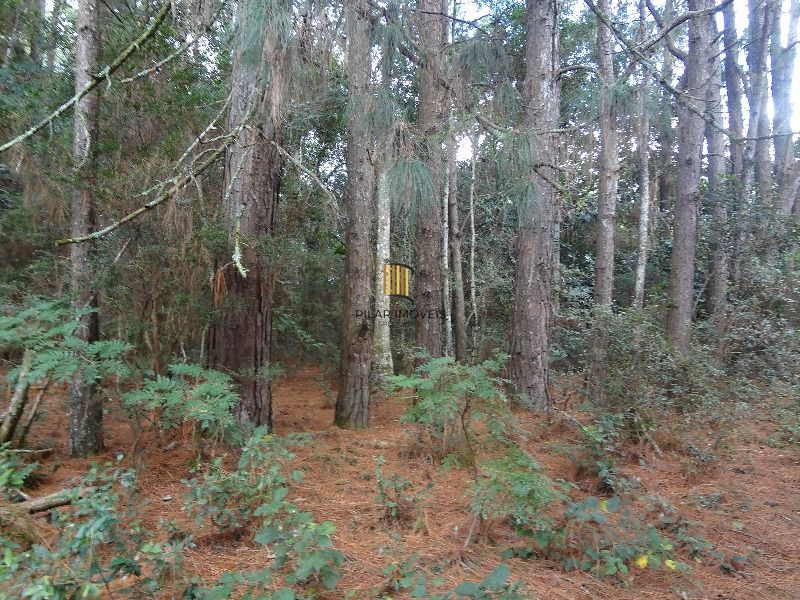 Terreno para Venda - 145.000m²,  Lami