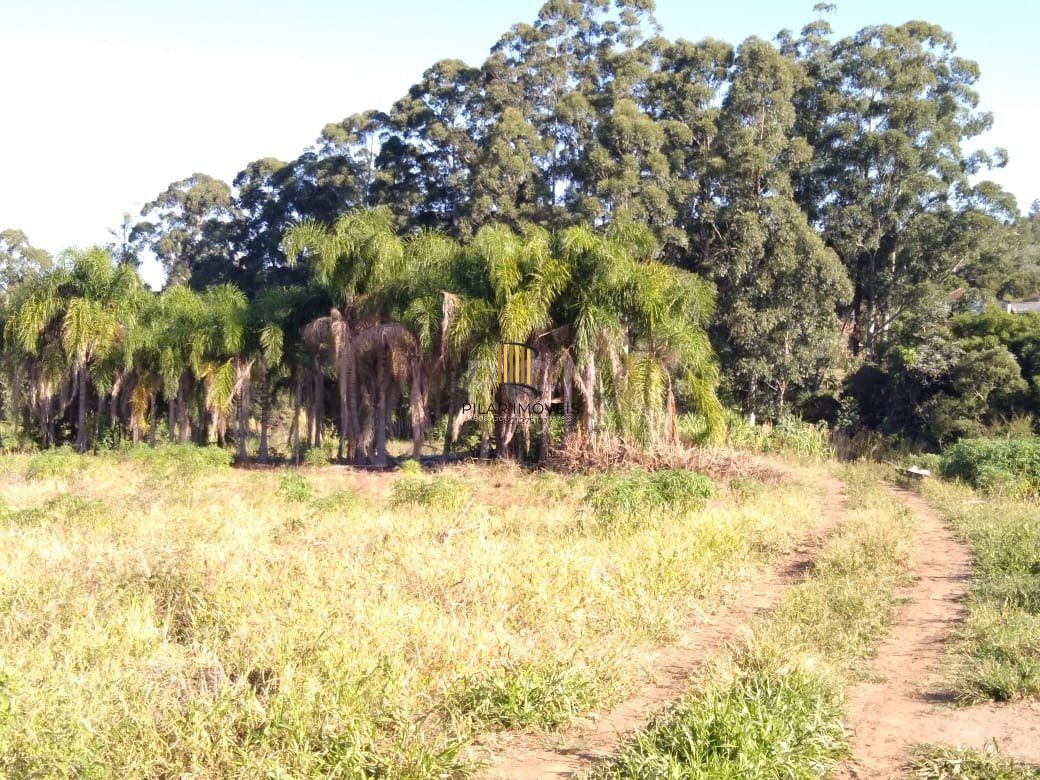 Area para Venda - 36.900m² - Campo Novo