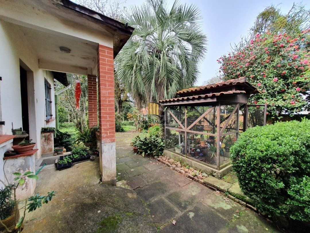 DOIS GRANDES TERRENOS localizados