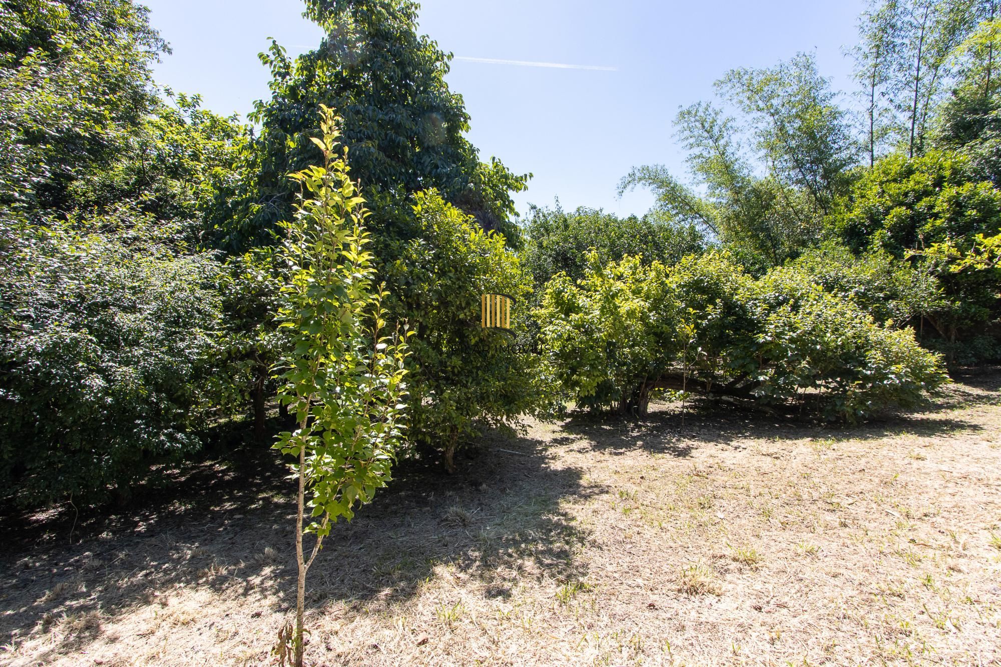 Casa 3 dormitórios no bairro Pitinga