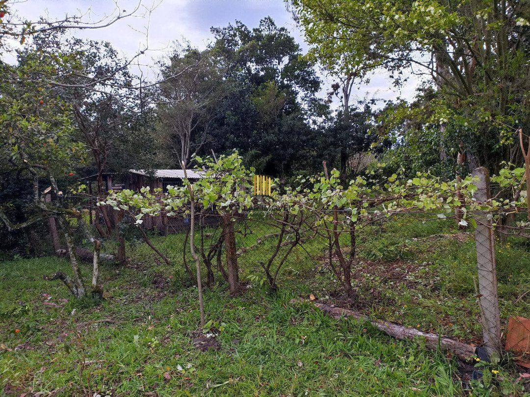 Sítio para Venda - 3330m², 3 dormitórios, sendo 1 suites, Itapuã
