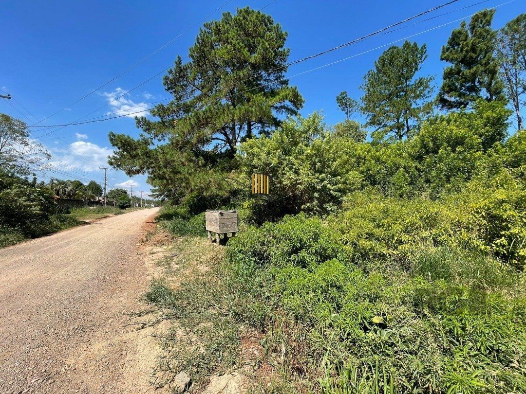 Terreno para venda com 3000m² no bairro Ponta grossa
