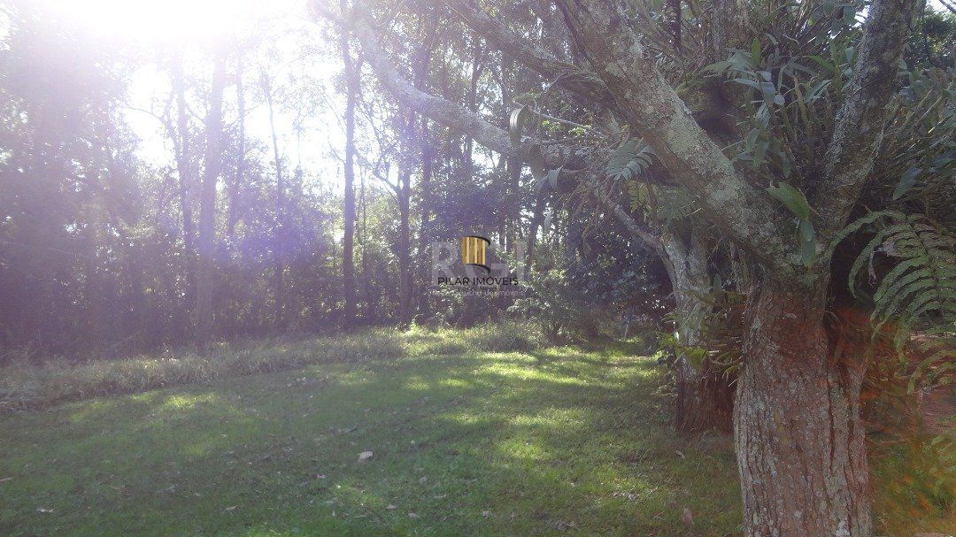 Area para Venda - 0m², 0 dormitórios, Hípica