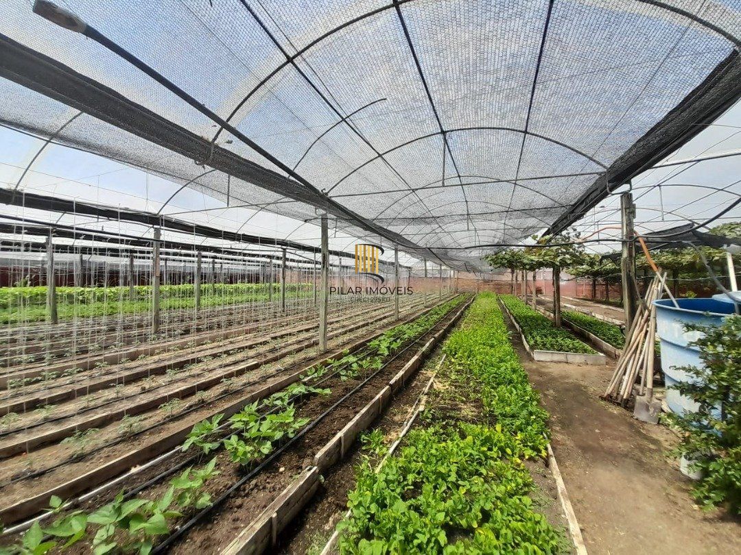 SÍTIO DENTRO DE PORTO ALEGRE 6.629,10 metros quadrados de área no bairro Campo Novo. - Pilar Imóveis
