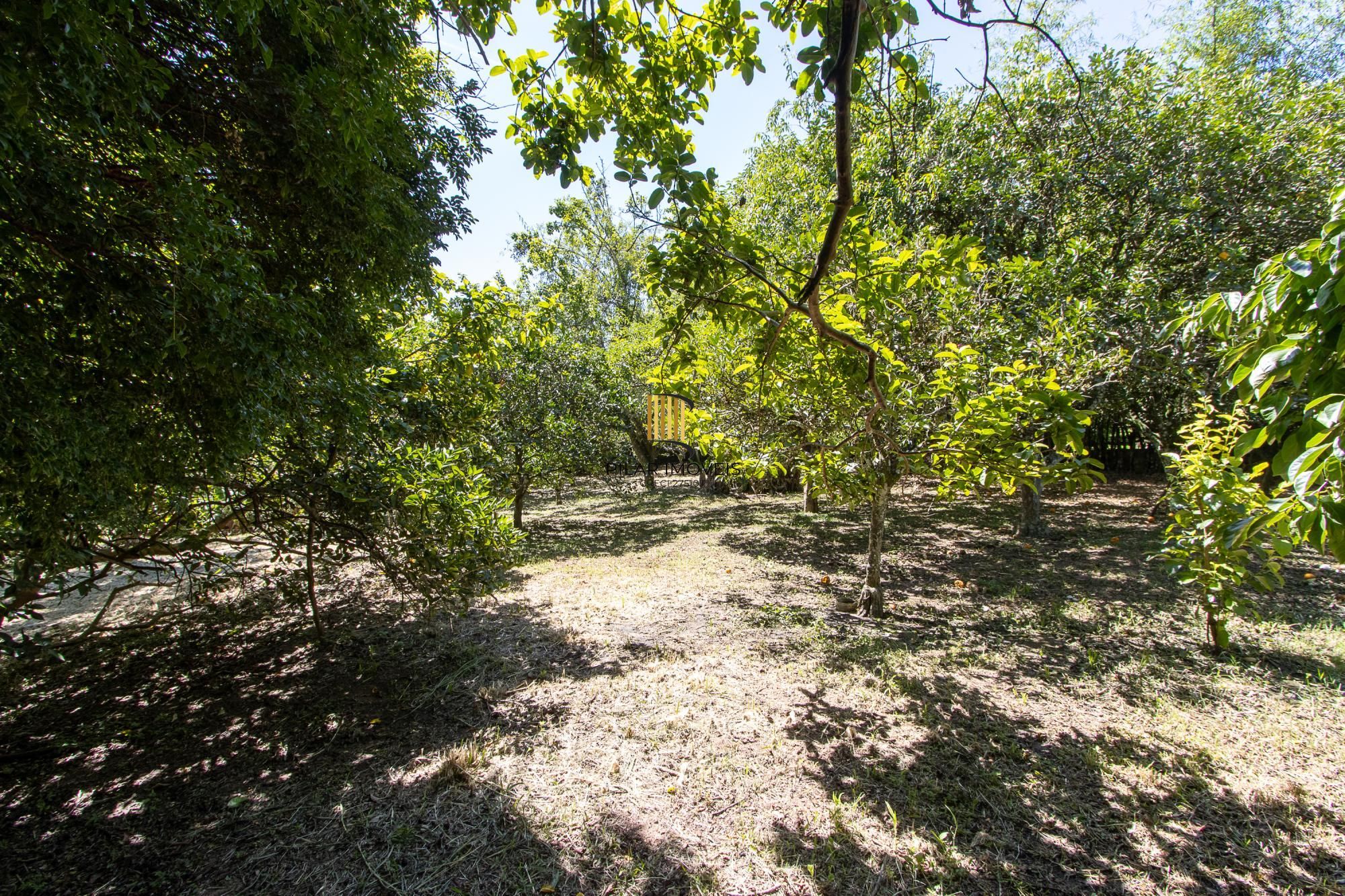 Casa 3 dormitórios no bairro Pitinga