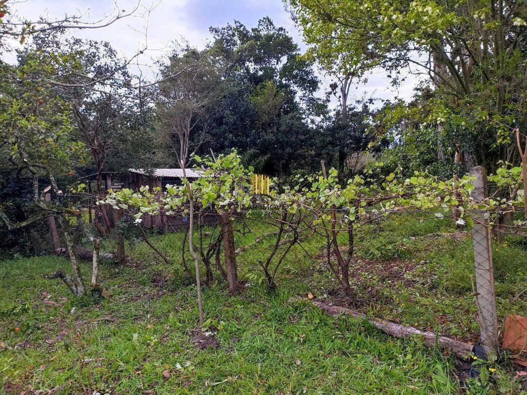 Sítio para Venda - 3330m², 3 dormitórios, sendo 1 suites, Itapuã