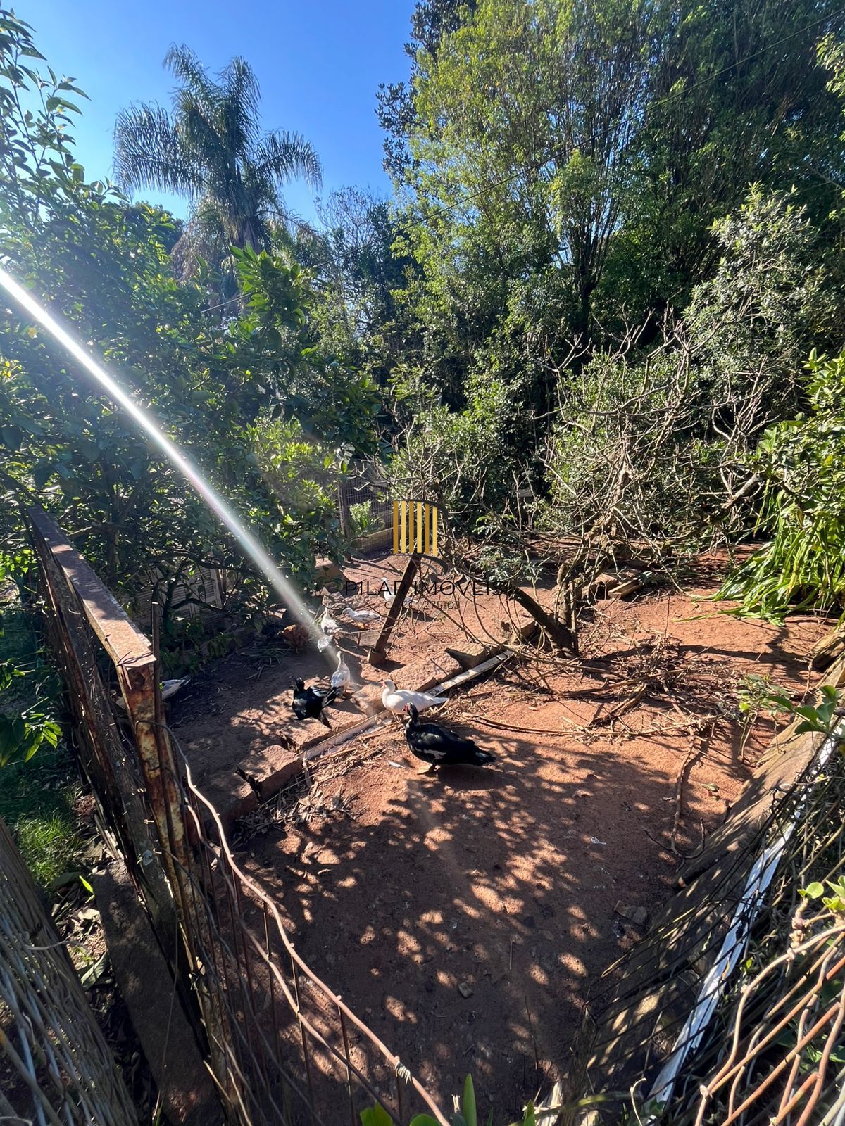 Terreno Amplo com 3 Casas – Vila Nova, Porto Alegre