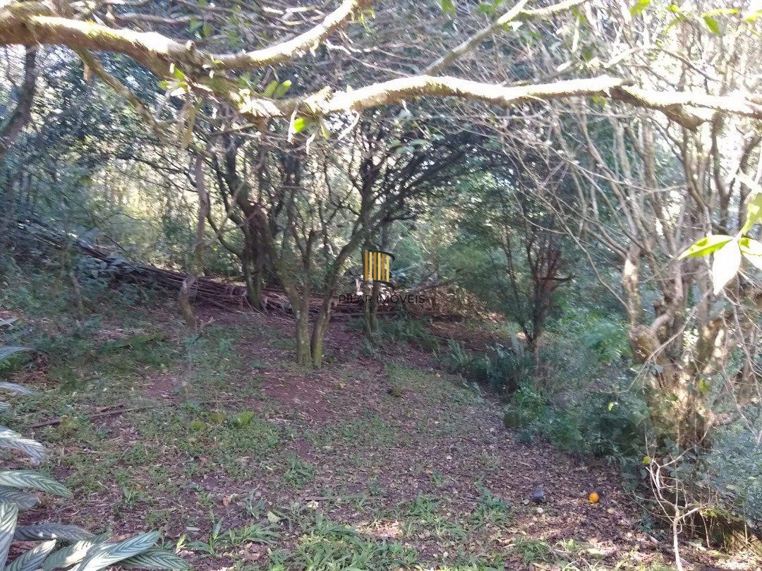 Terreno no bairro Cascata