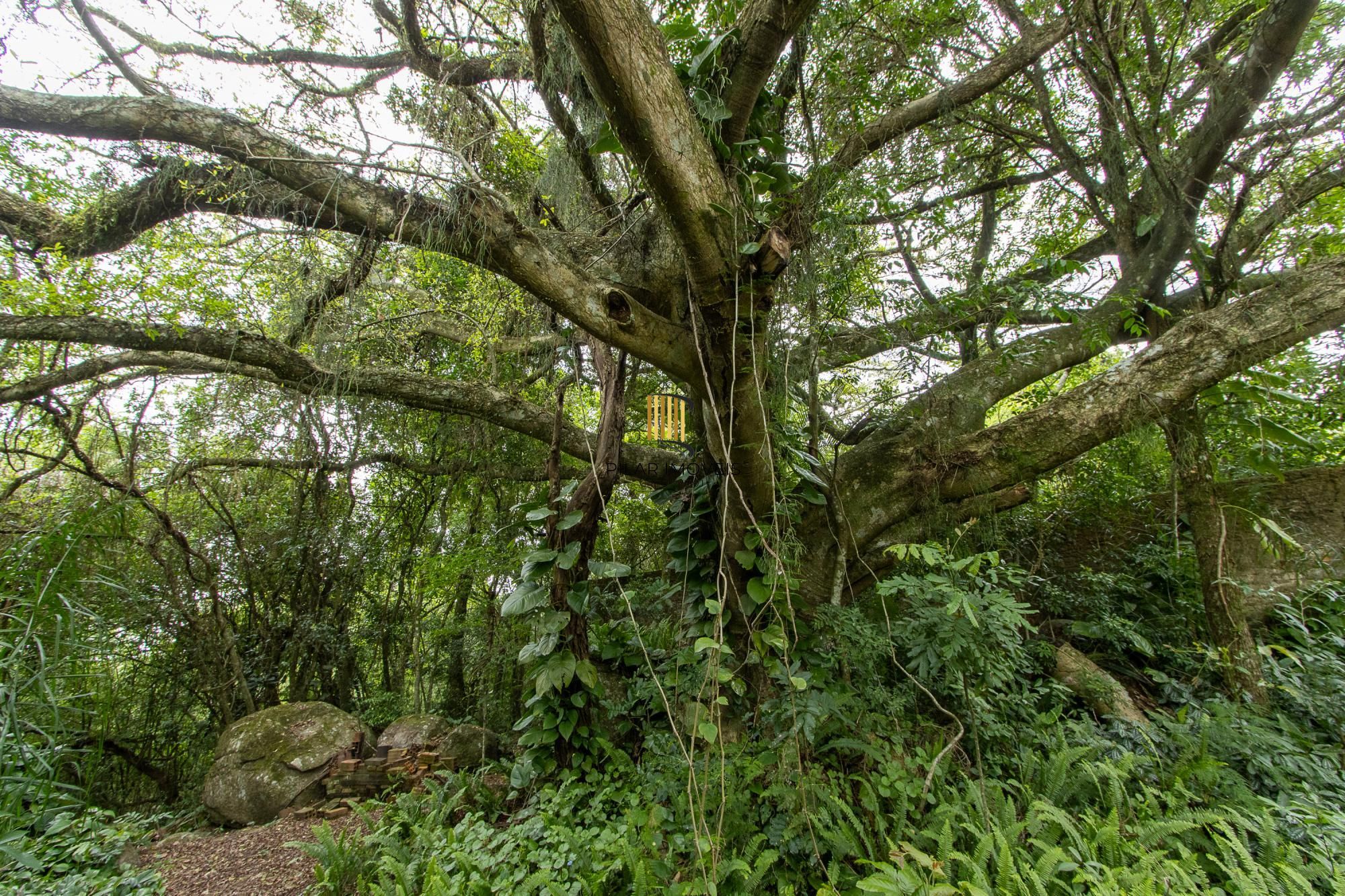 Casa térrea, nova, 3 quartos, 1 suite - Bairro Belém Velho