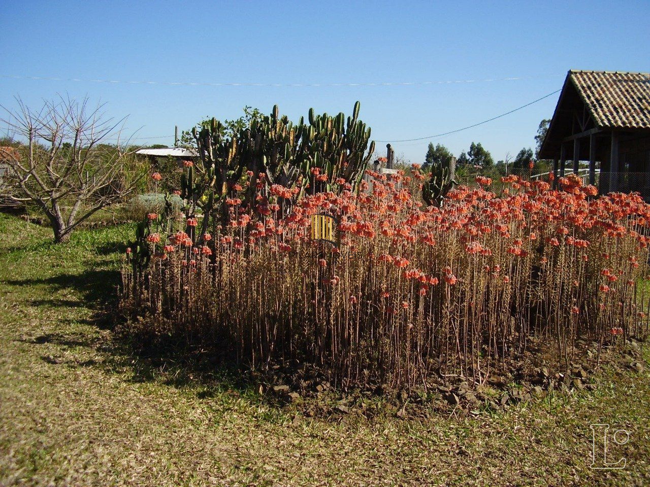 Sítio para Venda - 30000m², 2 dormitórios, Passo Do Vigário