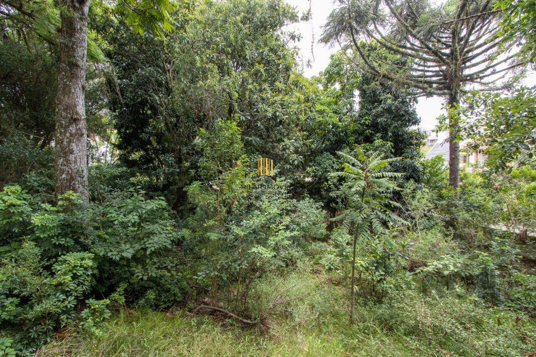 Terreno, 363.78 m², em Vila Conceição, em região elevada e livre de inundações