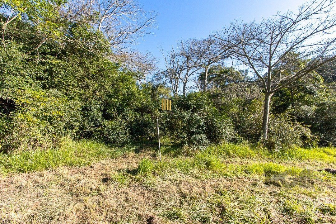 Terreno no bairro Itapuã