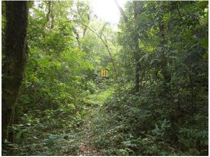 Area Bairro Ponta Grossa