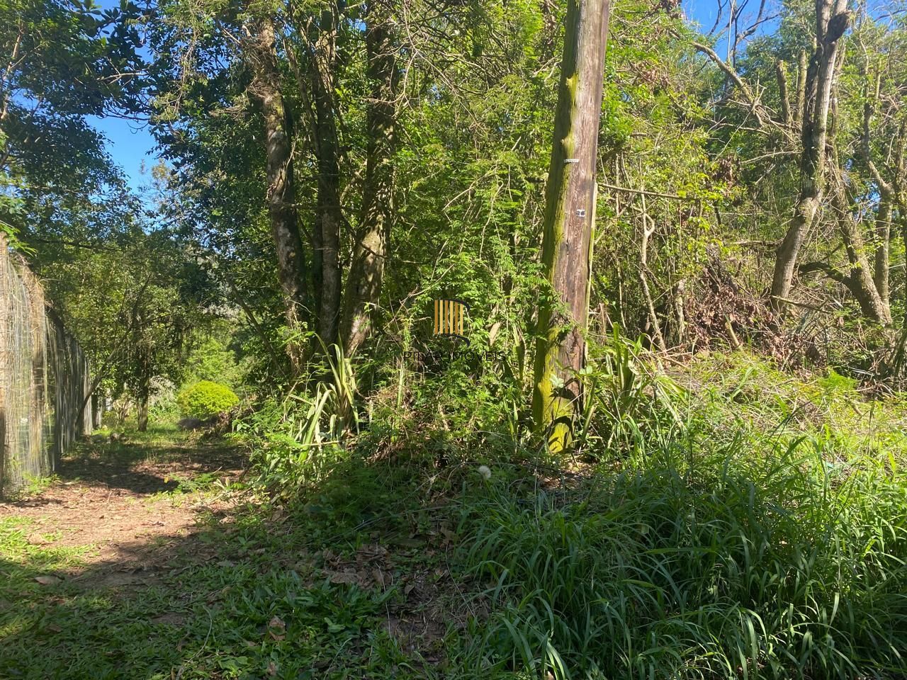 Excelente terreno!