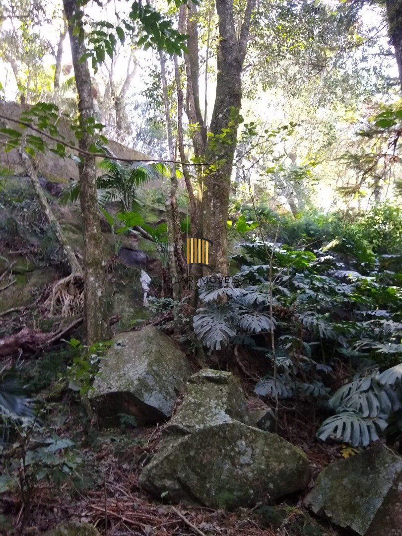 Terreno no bairro Cascata