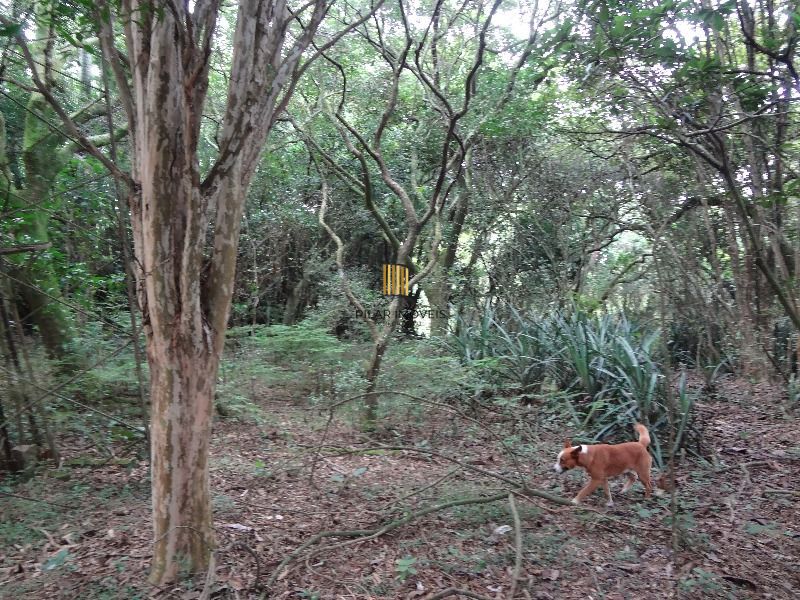 Terreno para Venda - 145.000m²,  Lami