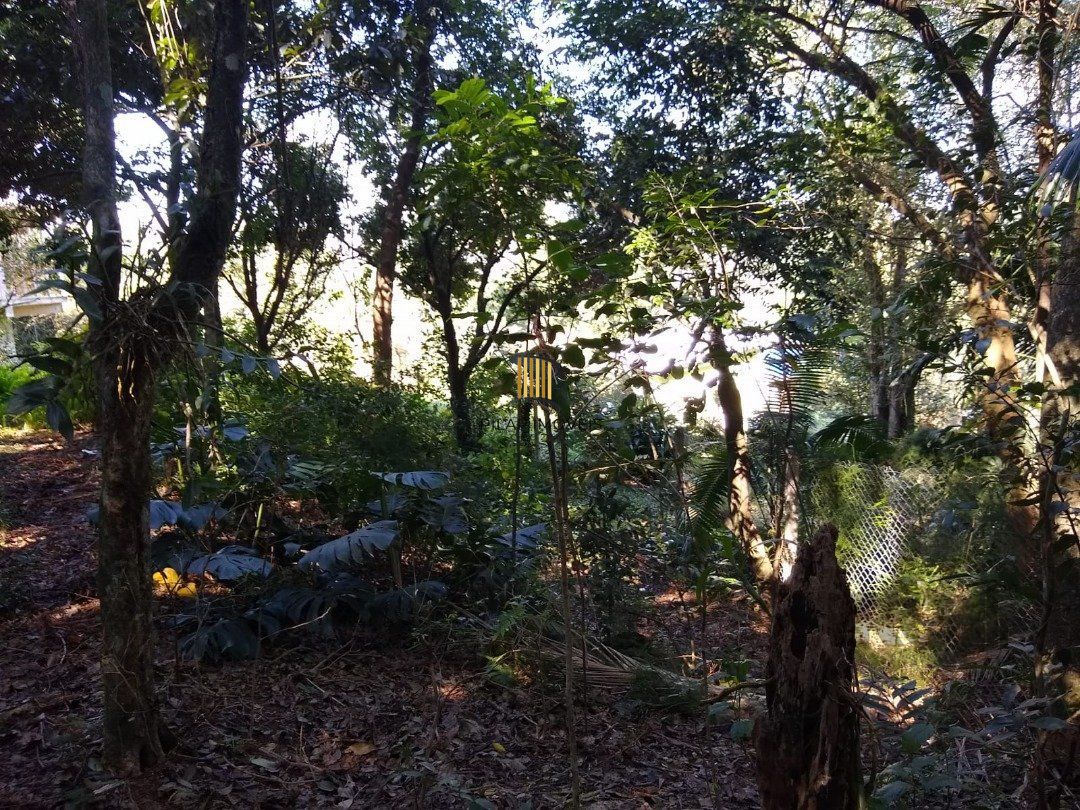 Terreno no bairro Cascata