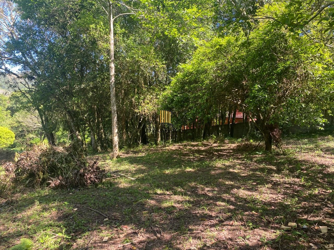 Excelente terreno!