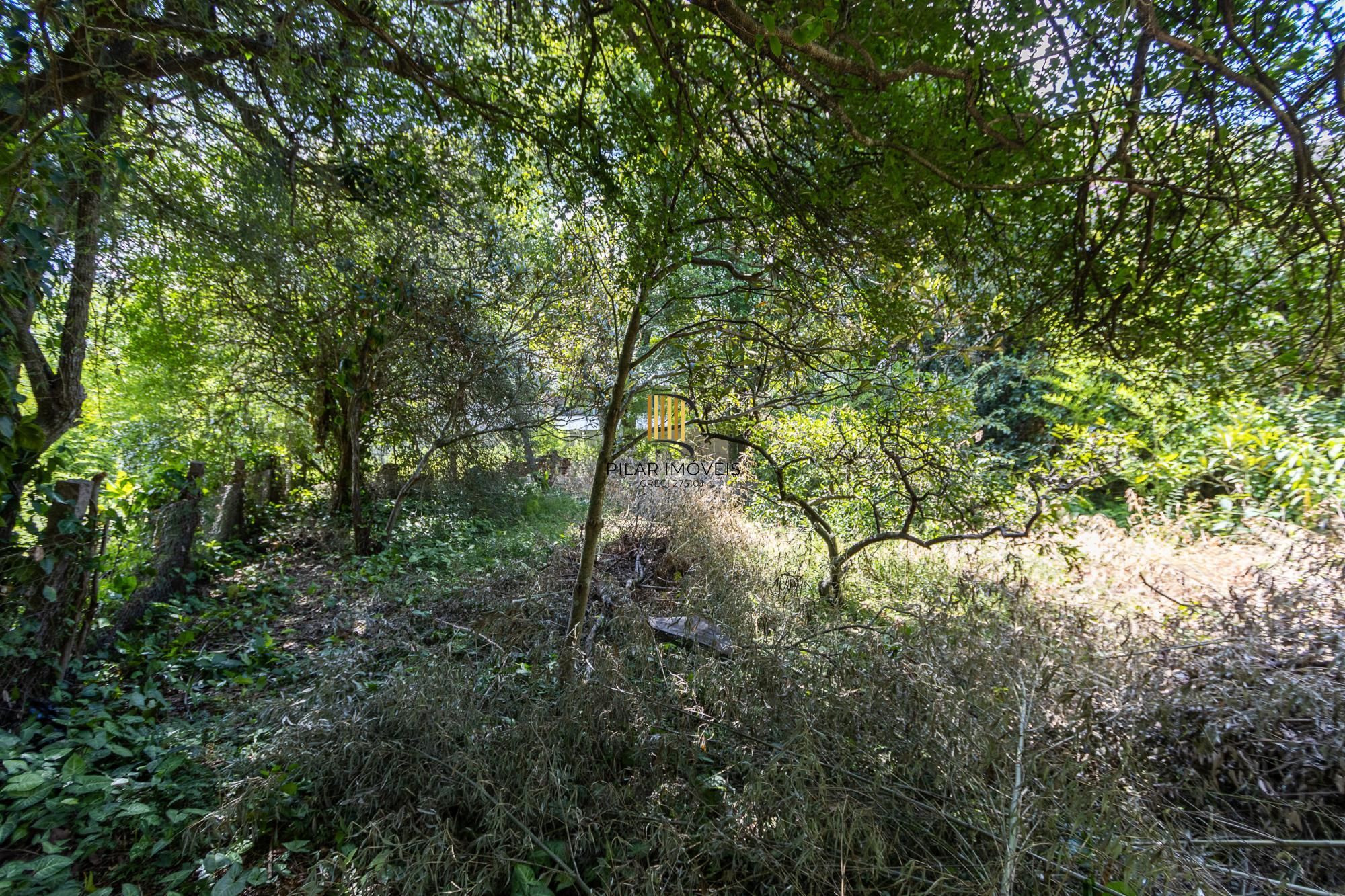 Terreno  bairro Ipanema