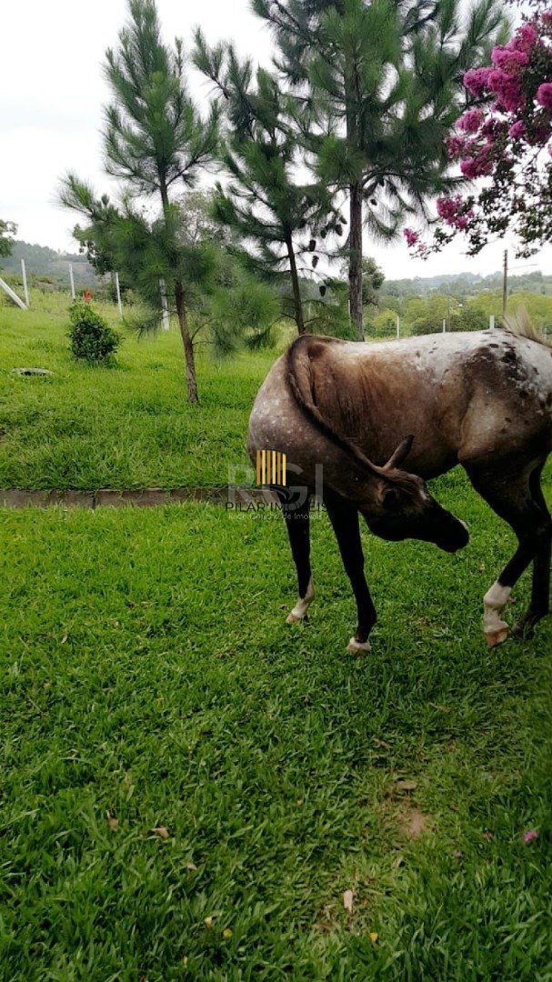 Sítio para Venda - 240m², 4 dormitórios, Itapuã