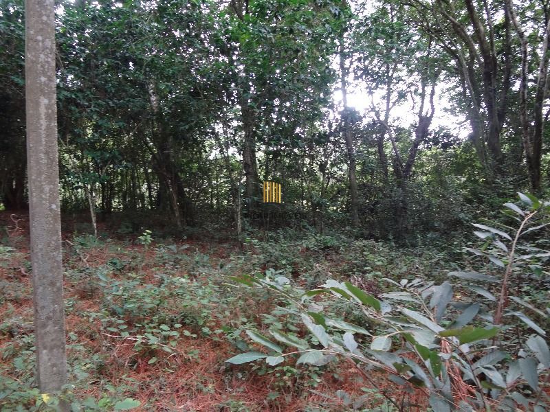 Terreno para Venda - 145.000m²,  Lami