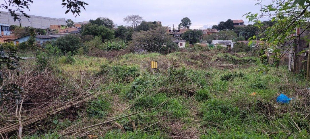 Terreno para Venda - 3.037m² no bairro Campo Novo