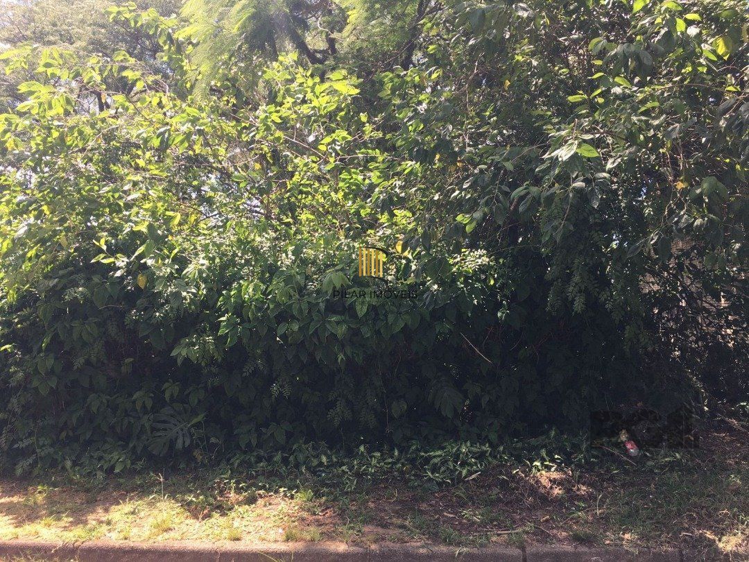Terreno Setimo Ceu.