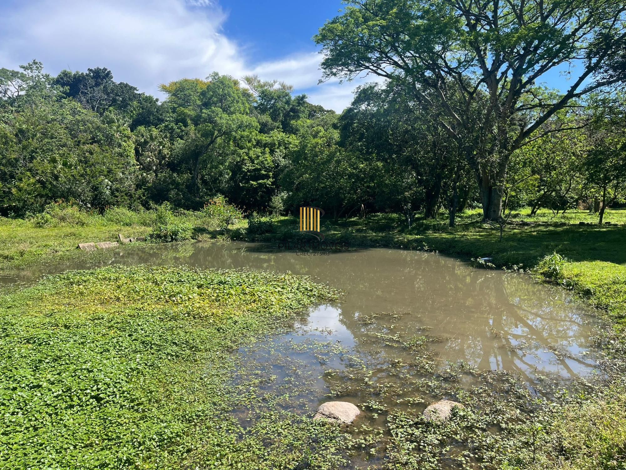 Seu refúgio na zona sul! Chácara incrível em Belém Velho – 1,5 hectare com casa encantadora e açude!