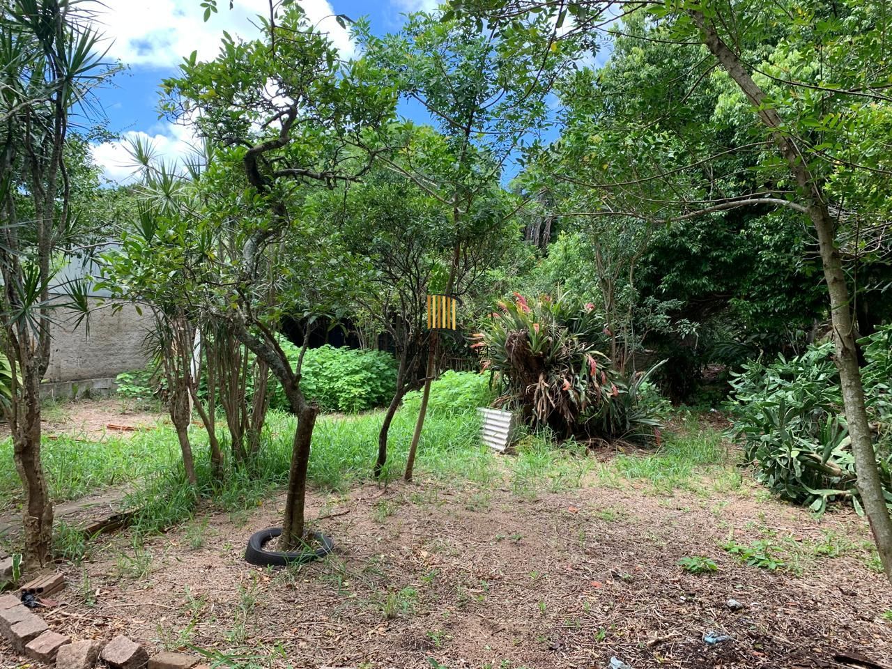 Sossego e natureza em Porto Alegre: 3 quartos, piscina e quase 2000m² de área