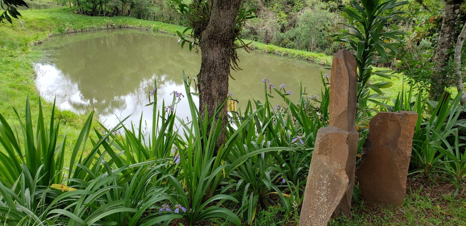 Sítio 3 dormitórios no bairro Aparecida