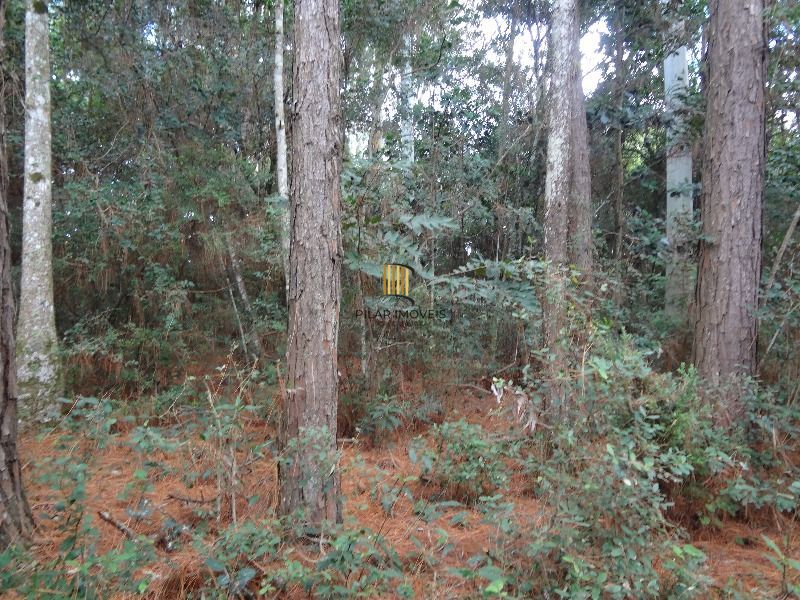 Terreno para Venda - 145.000m²,  Lami