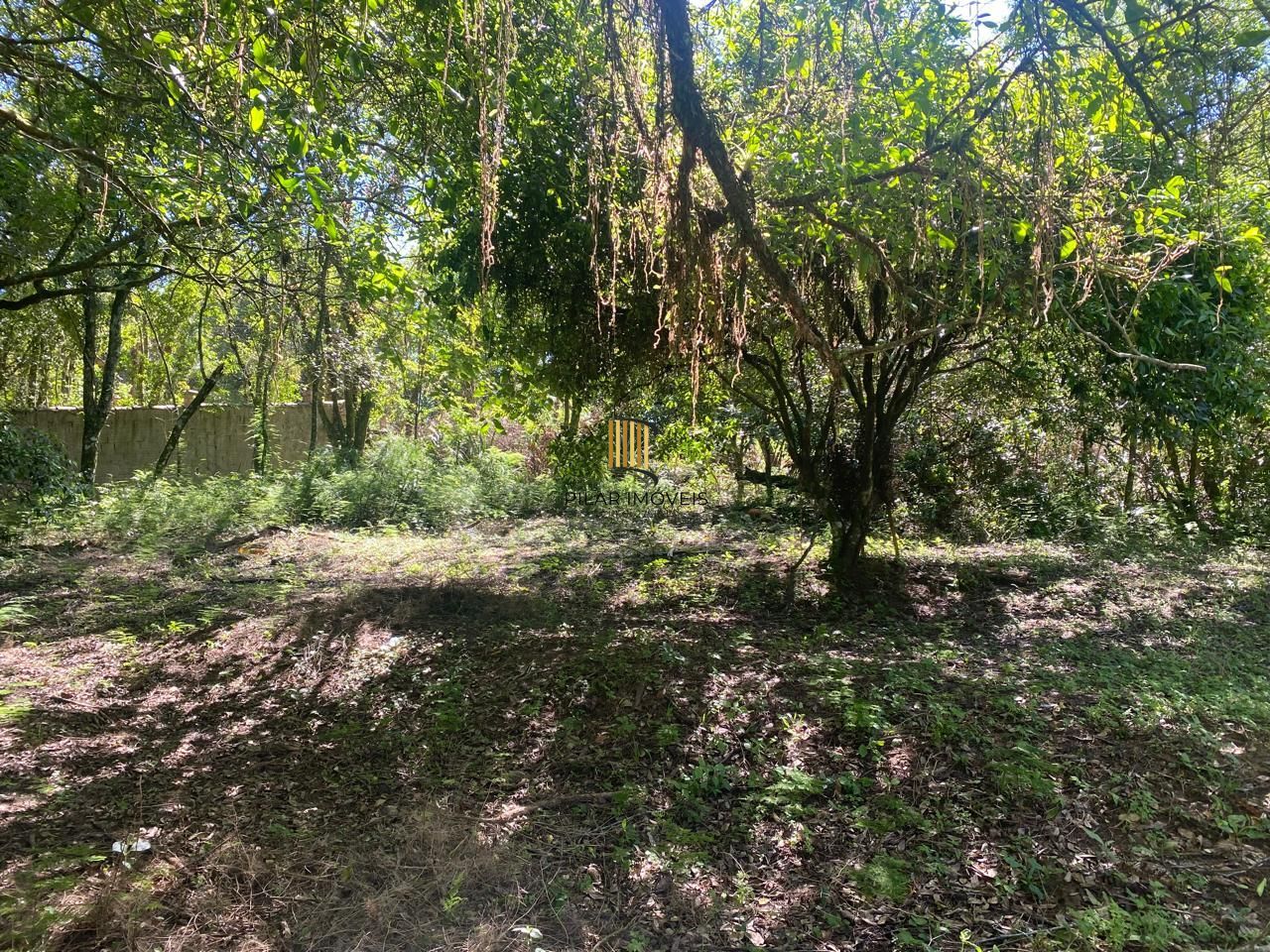 Excelente terreno!