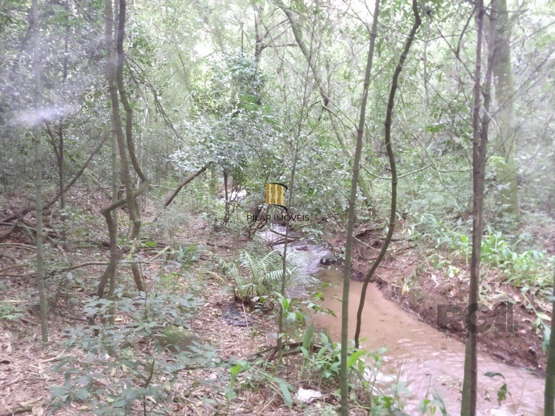 Area 6,69ha | Bairro Belem Velho