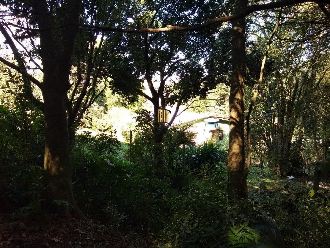 Terreno no bairro Cascata