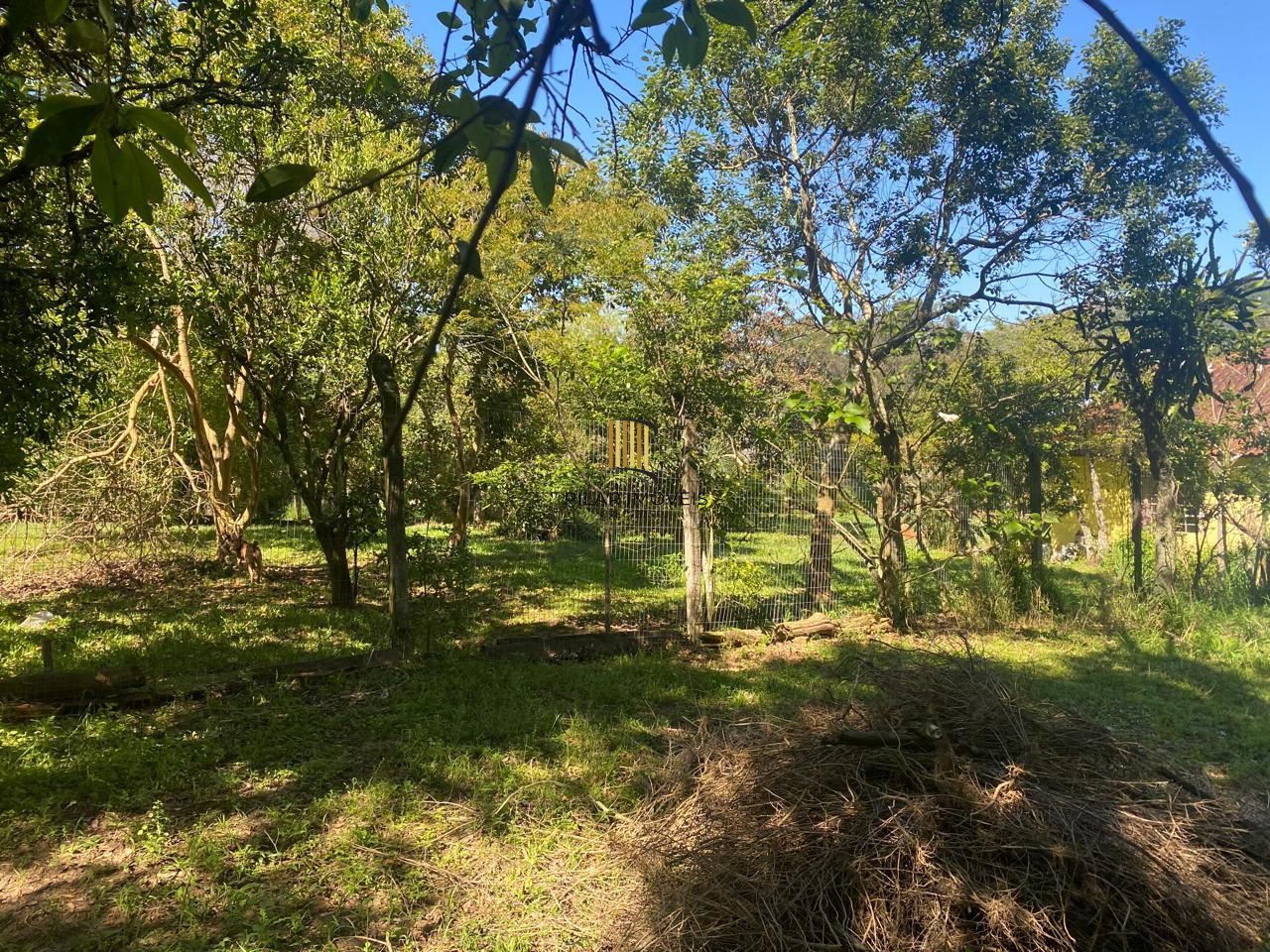 Excelente terreno!