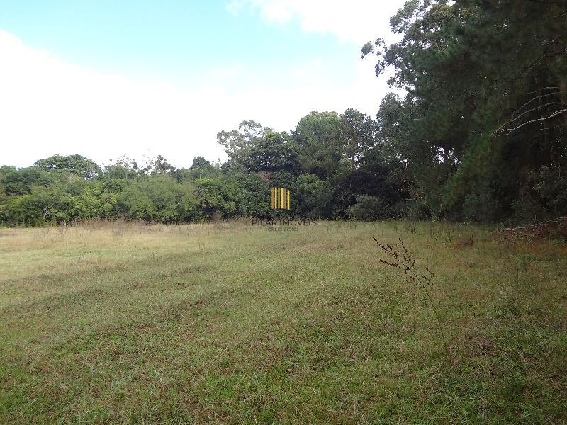 Terreno para Venda - 145.000m²,  Lami - Pilar Imóveis