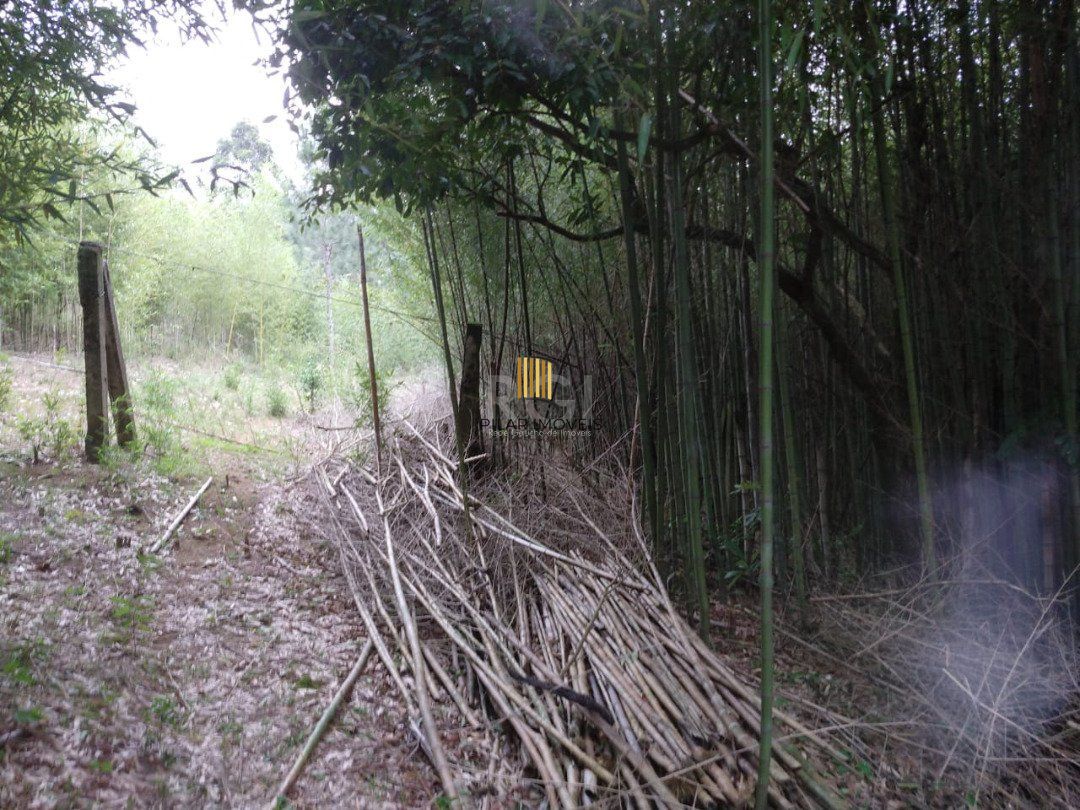 Área para Venda - 11,39ha, bairro Belém Velho