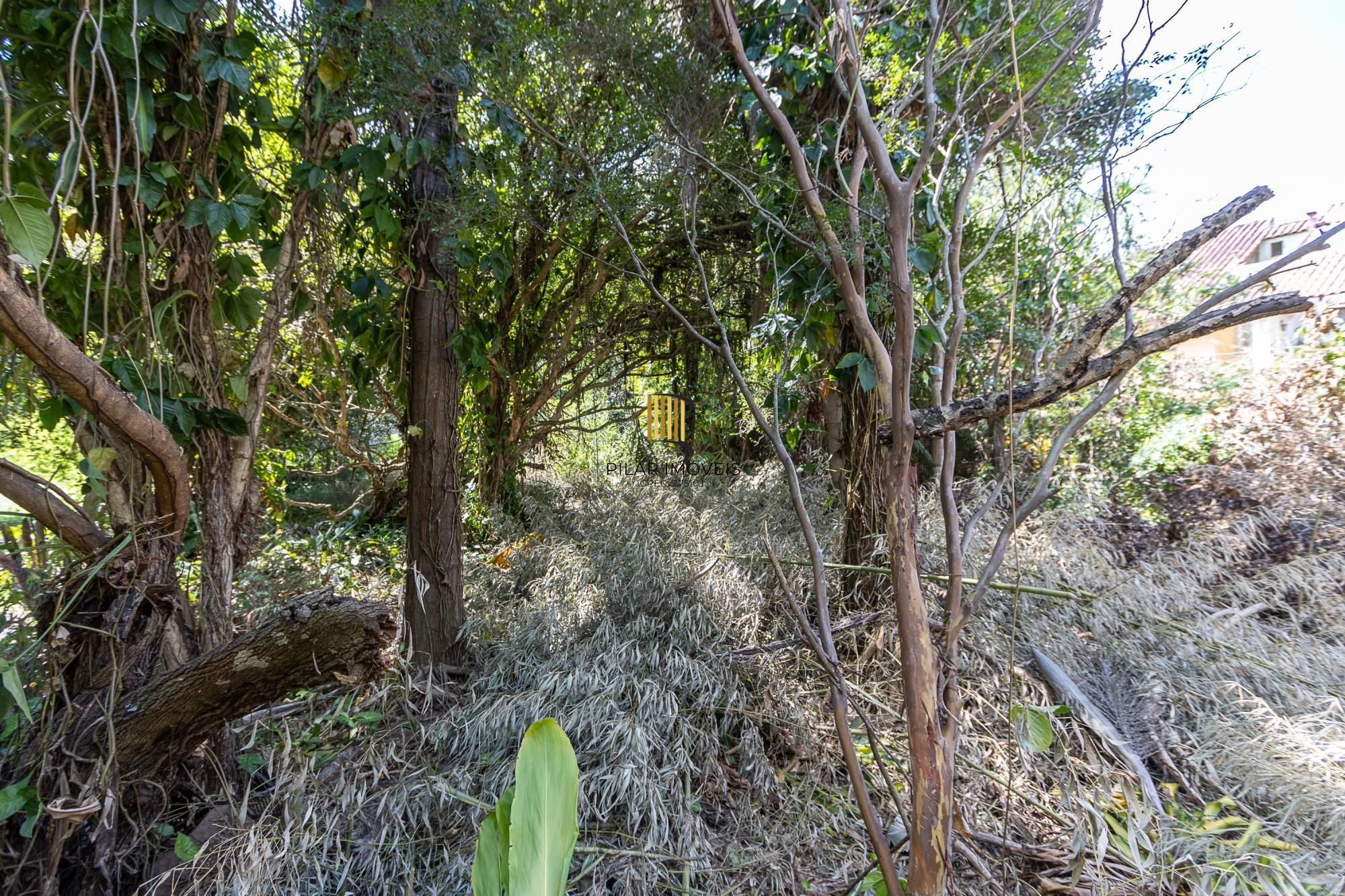 Terreno  bairro Ipanema
