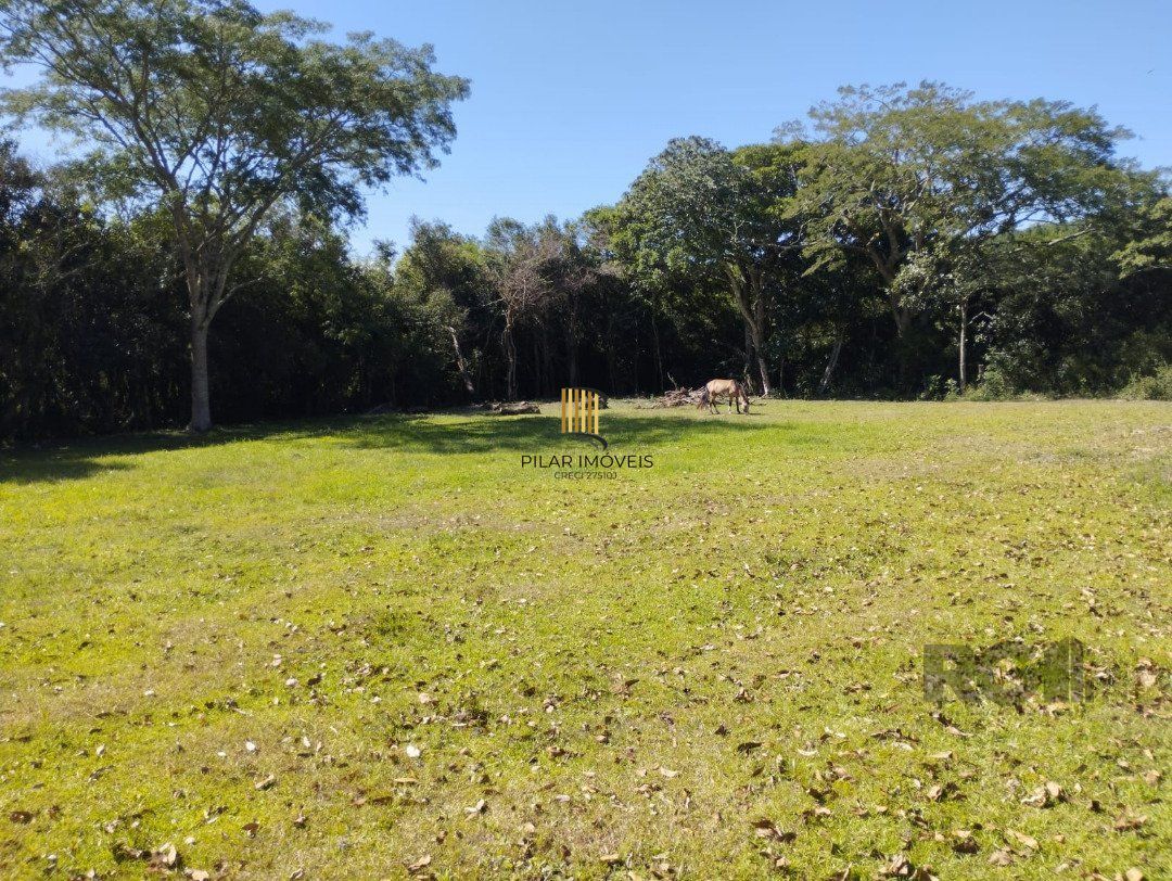 Sítio, 4 dormitórios, Bairro Fiuza.