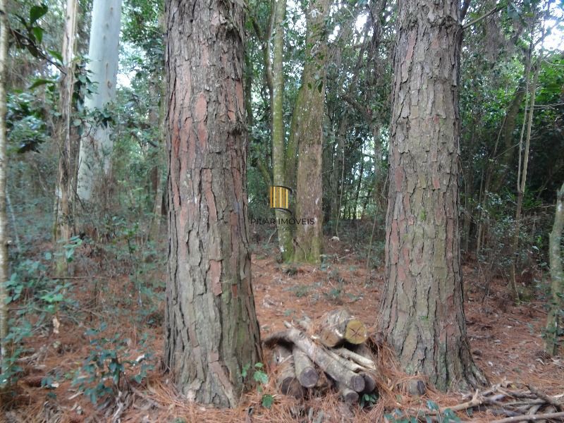 Terreno para Venda - 145.000m²,  Lami