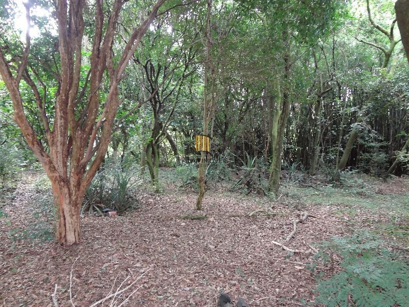 Terreno para Venda - 145.000m²,  Lami