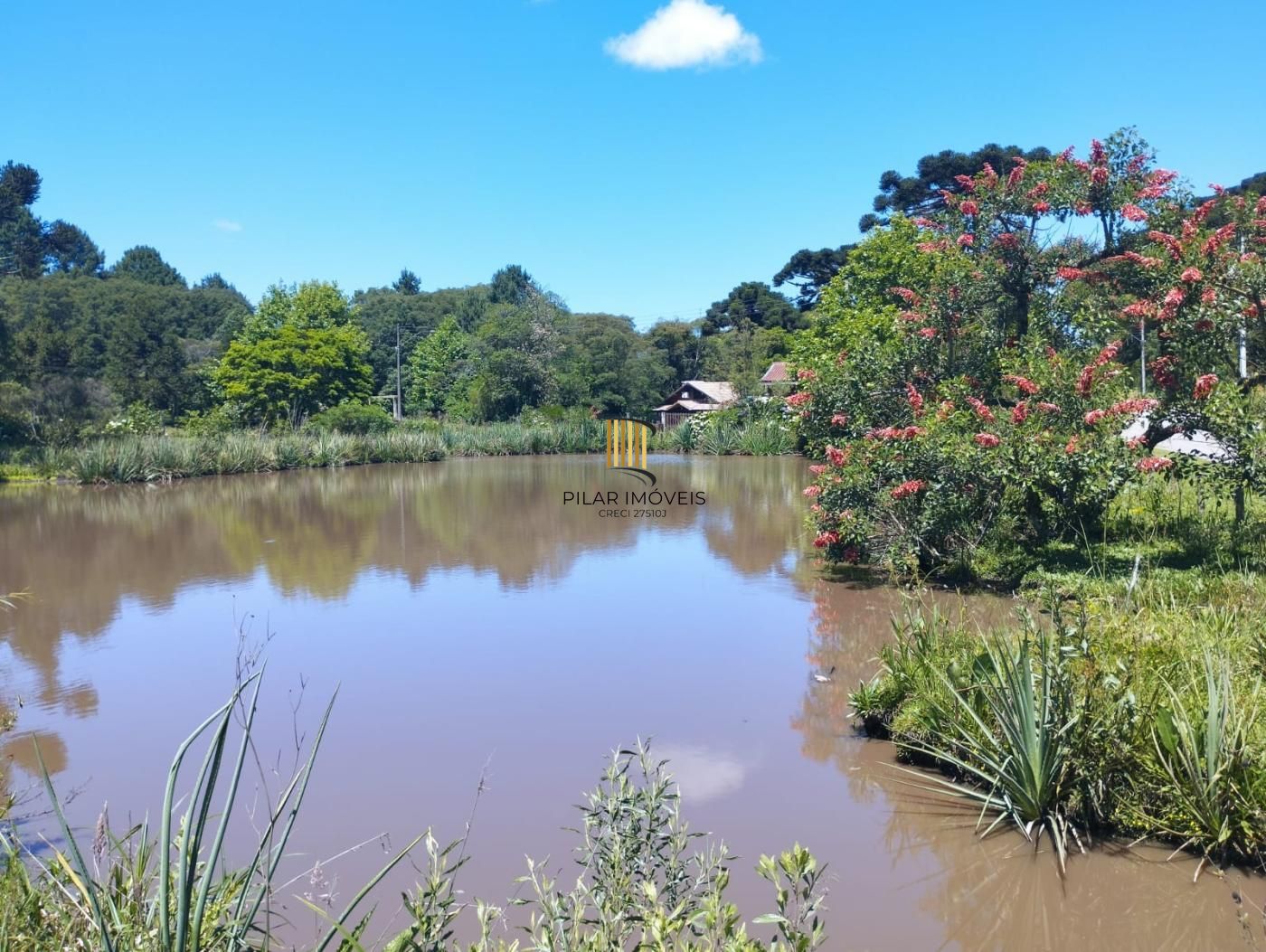 Lote Alto Padrão em São Francisco de Paula – 600m² com Vista para as Montanhas