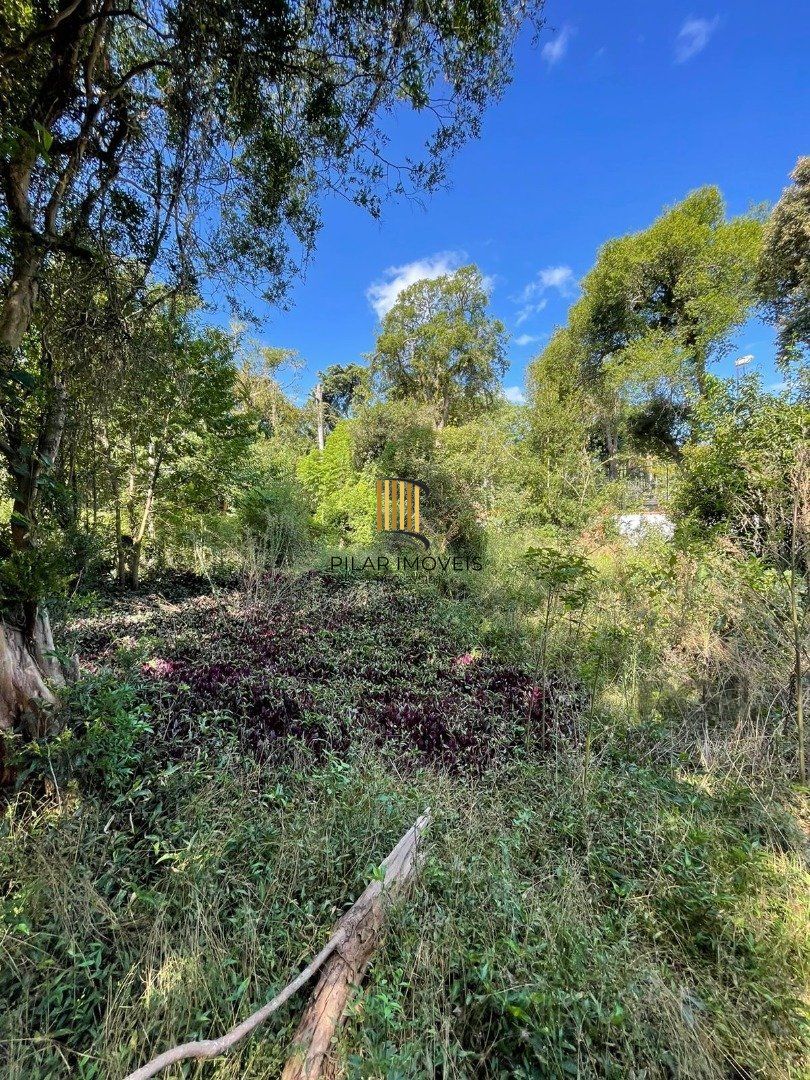 Terreno no bairro Ipanema