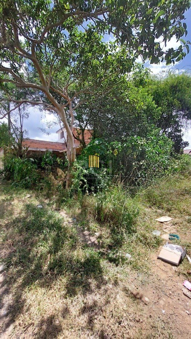 Terreno no bairro Vila Nova