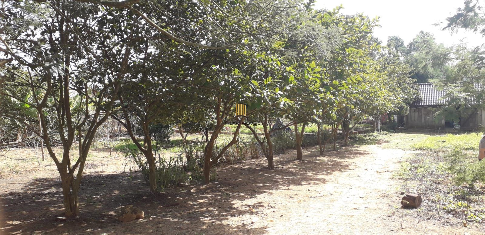 Casa 4 dormitórios no bairro Sítio São José