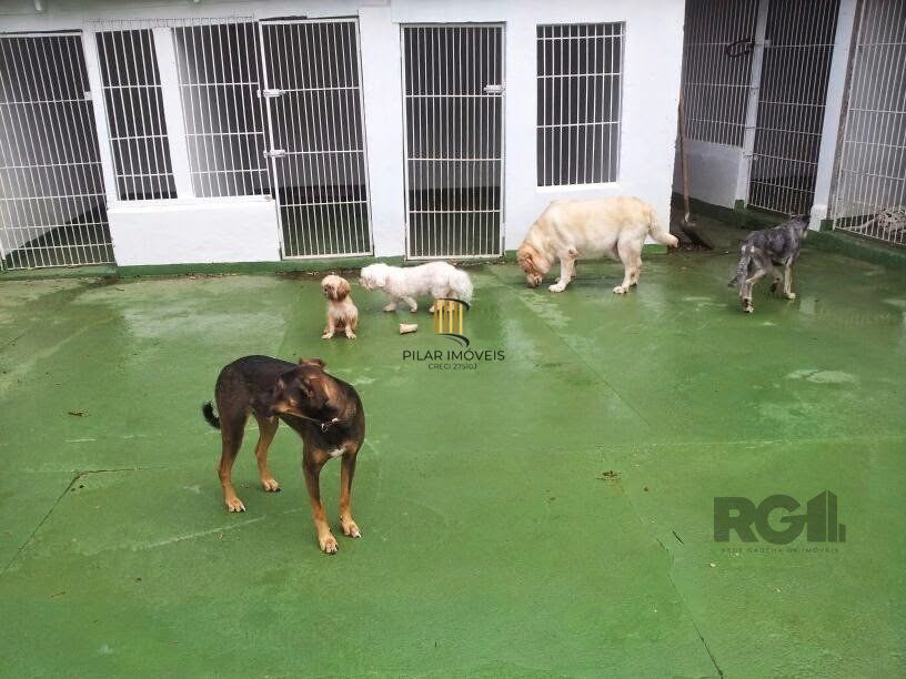 Sítio 3 dormitórios no bairro Estância Grande